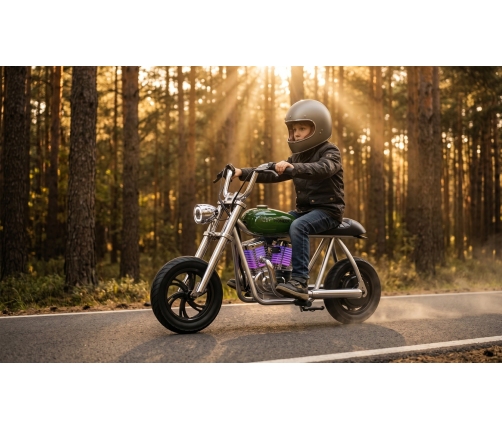 PIONEER ELECTRIC MOTORCYCLE GREEN APP