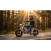PIONEER ELECTRIC MOTORCYCLE GREEN APP