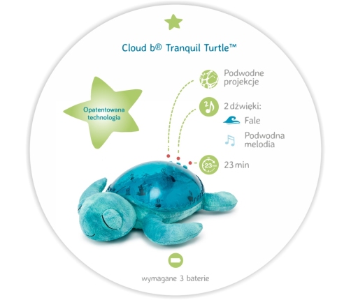 TRANQUIL TURTLE