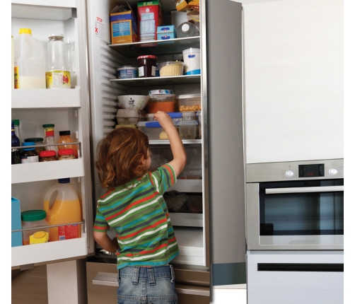 REFRIGERATOR LATCH