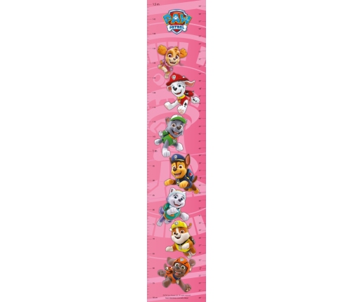 ROOM DECORATION MEASURING CHART PAW PATR