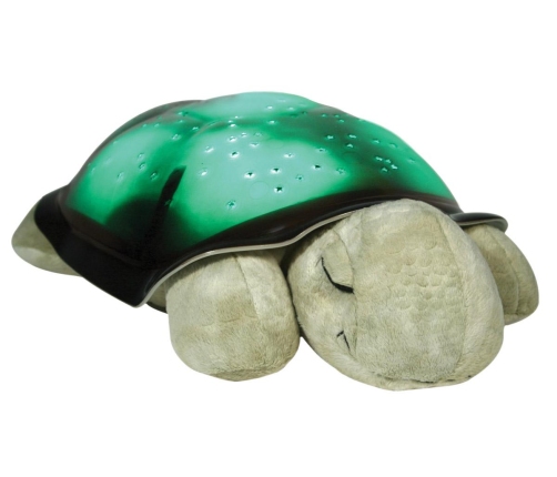 TWILIGHT TURTLE