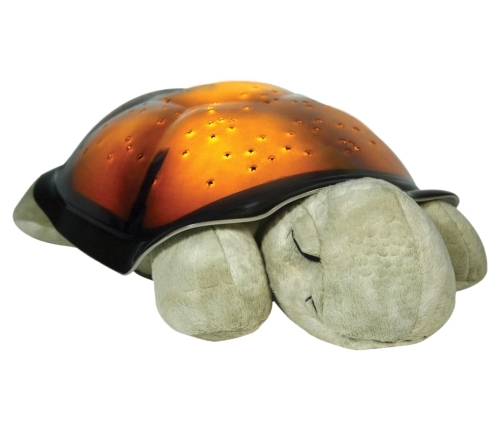 TWILIGHT TURTLE